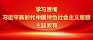 日逼大网学习贯彻习近平新时代中国特色社会主义思想主题教育_fororder_ad-371X160(2)